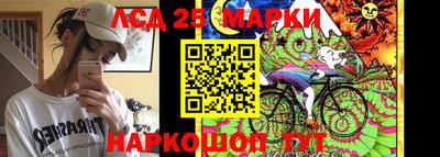 индика Обь