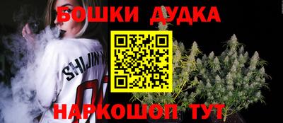 индика Обь