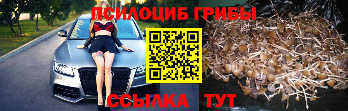 Галлюциногенные грибы Cubensis Северобайкальск