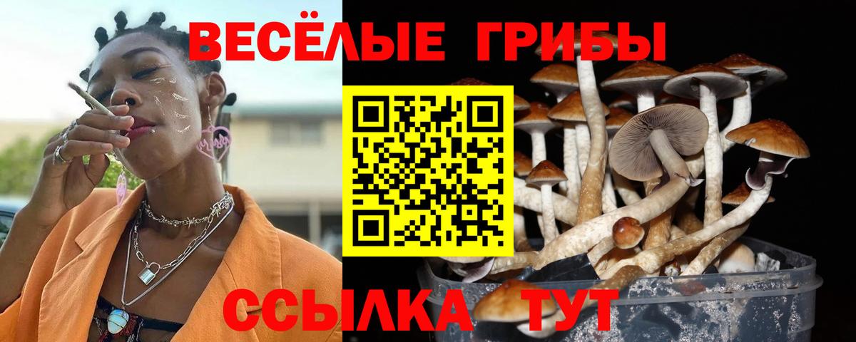 МАРИХУАНА  Вход с VPN  МЕФ   COCAIN  Северобайкальск  MDMA  ТГК  Меф МЯУ МЯУ  ГАШ 
